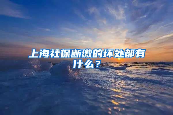 上海社保断缴的坏处都有什么？