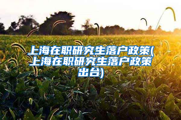 上海在职研究生落户政策(上海在职研究生落户政策出台)