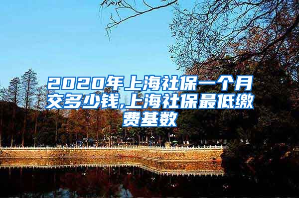 2020年上海社保一个月交多少钱,上海社保最低缴费基数