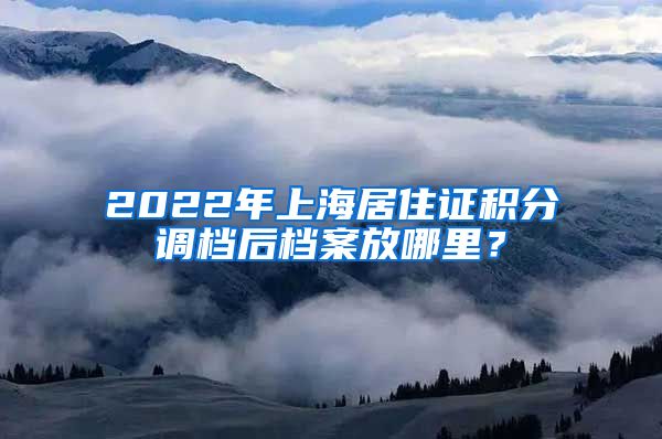 2022年上海居住证积分调档后档案放哪里？