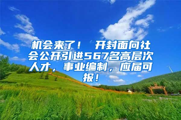 机会来了！ 开封面向社会公开引进567名高层次人才，事业编制，应届可报！