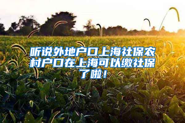 听说外地户口上海社保农村户口在上海可以缴社保了啦！