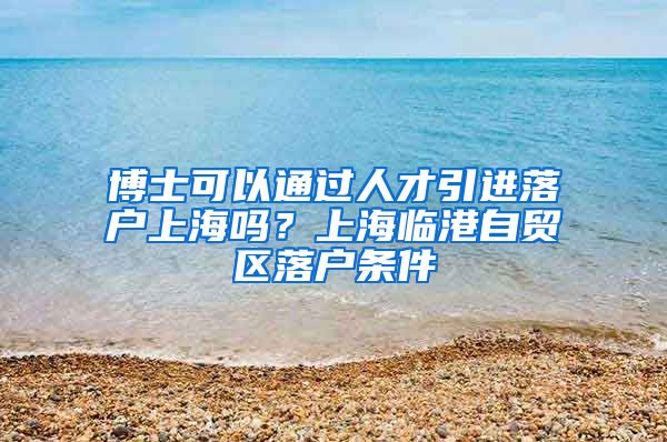 博士可以通过人才引进落户上海吗？上海临港自贸区落户条件