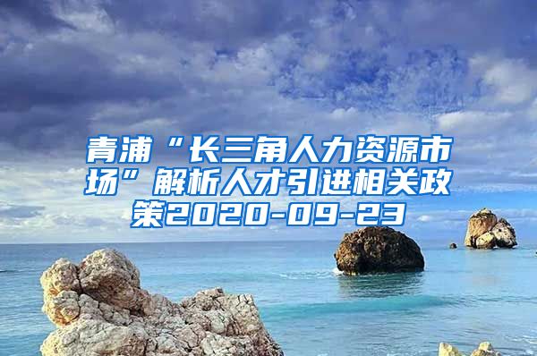 青浦“长三角人力资源市场”解析人才引进相关政策2020-09-23