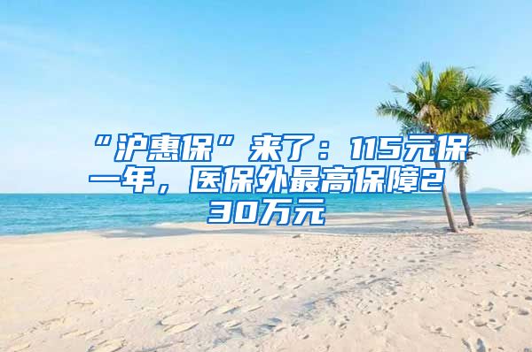 “沪惠保”来了：115元保一年，医保外最高保障230万元