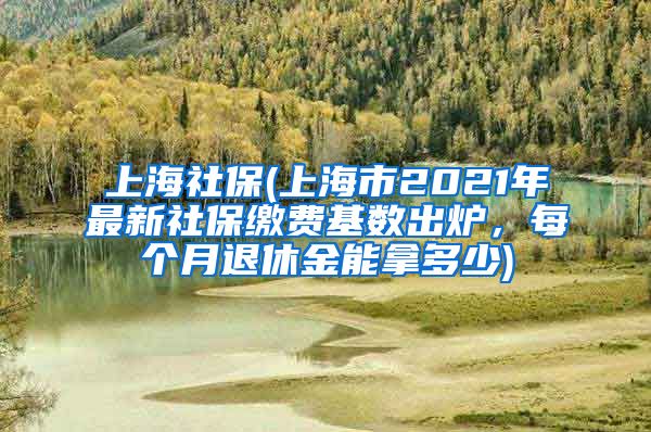 上海社保(上海市2021年最新社保缴费基数出炉，每个月退休金能拿多少)