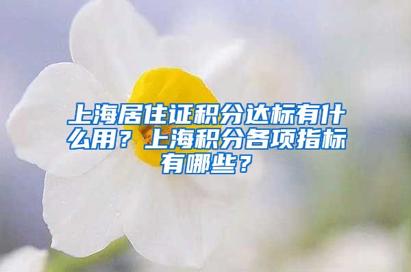 上海居住证积分达标有什么用？上海积分各项指标有哪些？