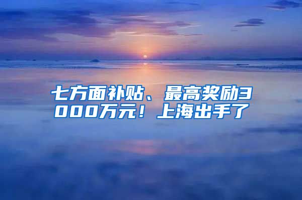 七方面补贴、最高奖励3000万元！上海出手了