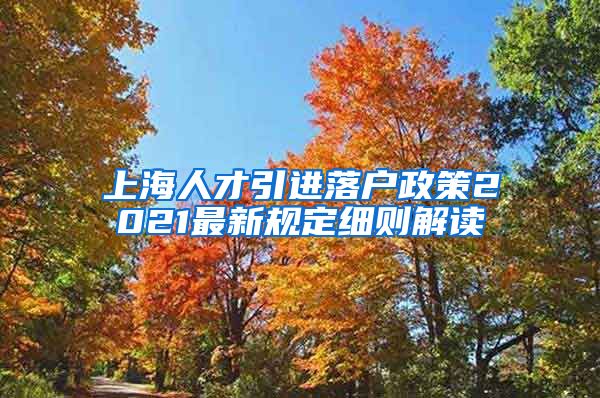 上海人才引进落户政策2021最新规定细则解读