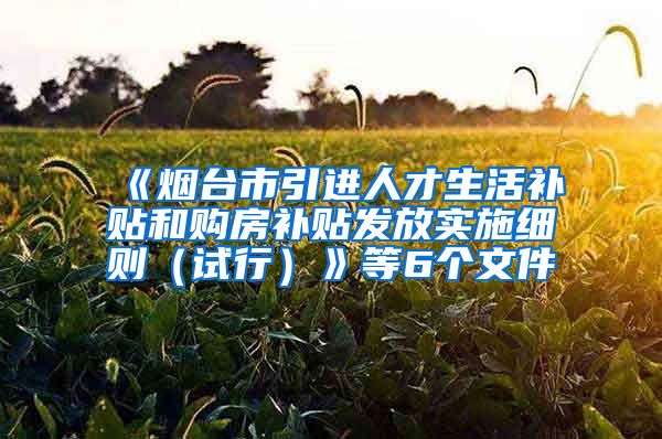 《烟台市引进人才生活补贴和购房补贴发放实施细则（试行）》等6个文件