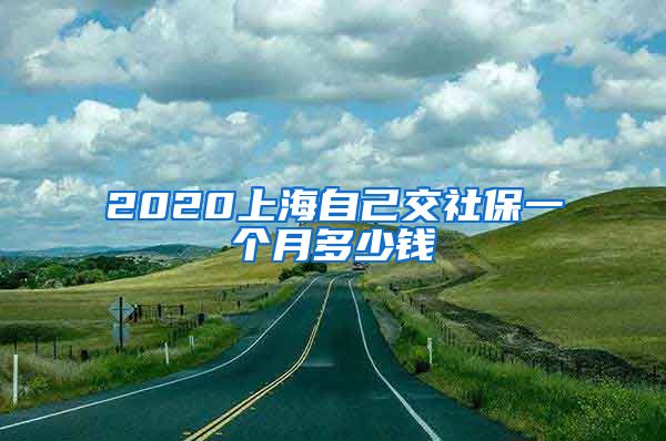 2020上海自己交社保一个月多少钱