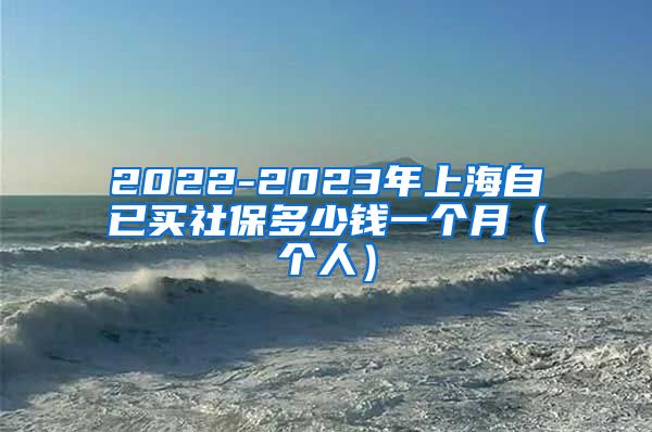 2022-2023年上海自已买社保多少钱一个月（个人）
