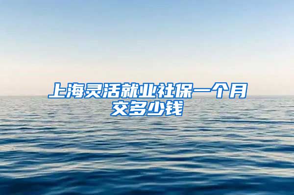 上海灵活就业社保一个月交多少钱