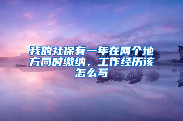 我的社保有一年在两个地方同时缴纳，工作经历该怎么写