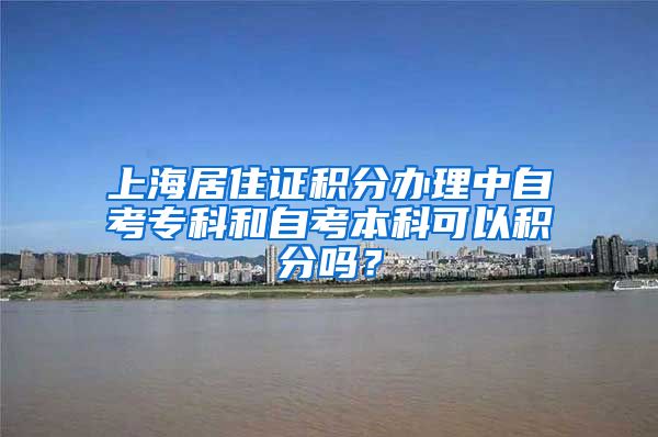 上海居住证积分办理中自考专科和自考本科可以积分吗？