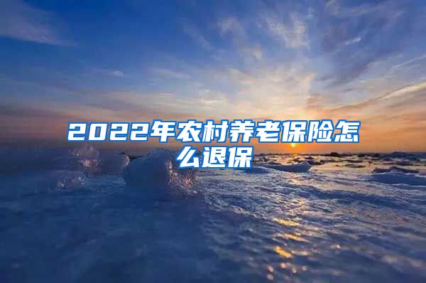 2022年农村养老保险怎么退保