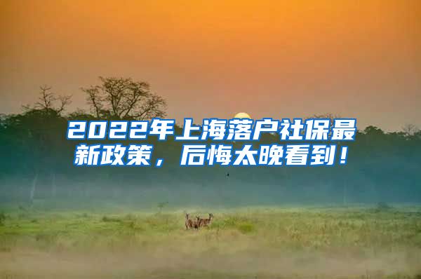 2022年上海落户社保最新政策，后悔太晚看到！