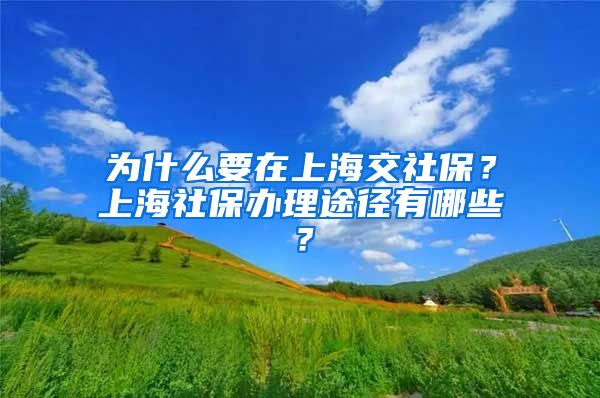 为什么要在上海交社保？上海社保办理途径有哪些？