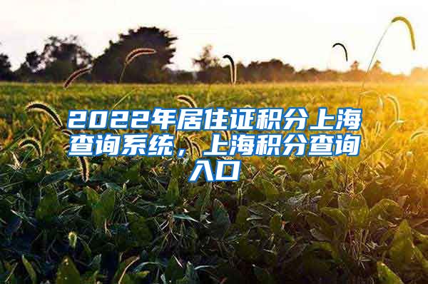 2022年居住证积分上海查询系统，上海积分查询入口