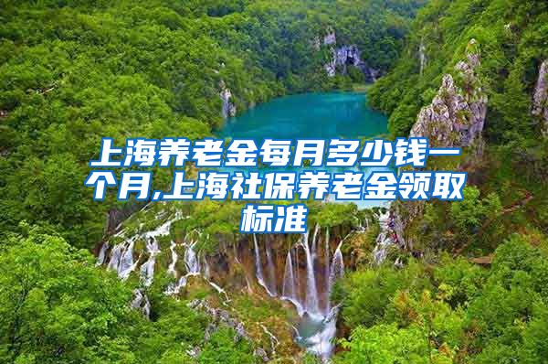 上海养老金每月多少钱一个月,上海社保养老金领取标准