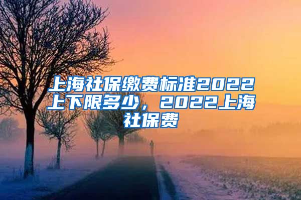 上海社保缴费标准2022上下限多少，2022上海社保费