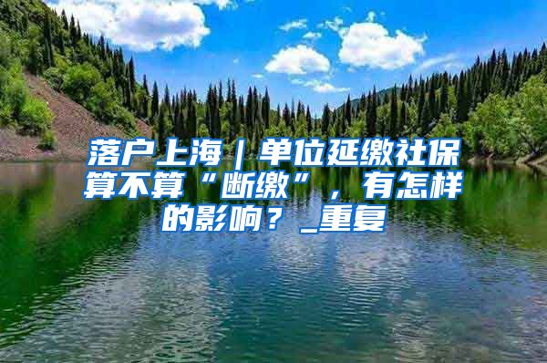 落户上海｜单位延缴社保算不算“断缴”，有怎样的影响？_重复