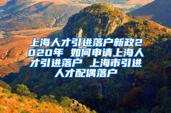 上海人才引进落户新政2020年 如何申请上海人才引进落户 上海市引进人才配偶落户