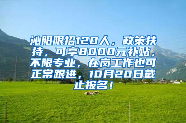 沁阳限招120人，政策扶持，可享8000元补贴，不限专业，在岗工作也可正常跟进，10月20日截止报名！