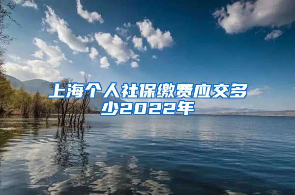 上海个人社保缴费应交多少2022年