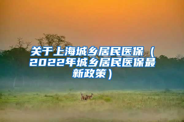 关于上海城乡居民医保（2022年城乡居民医保最新政策）