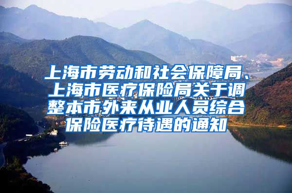 上海市劳动和社会保障局、上海市医疗保险局关于调整本市外来从业人员综合保险医疗待遇的通知