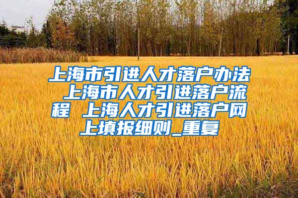 上海市引进人才落户办法 上海市人才引进落户流程 上海人才引进落户网上填报细则_重复