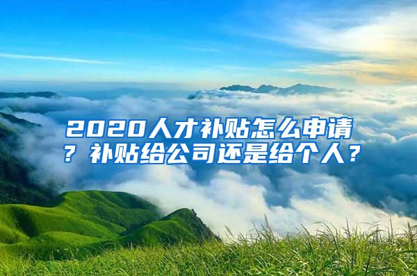 2020人才补贴怎么申请？补贴给公司还是给个人？