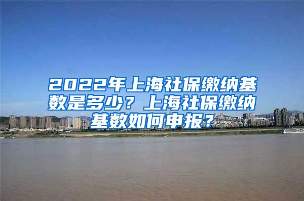 2022年上海社保缴纳基数是多少？上海社保缴纳基数如何申报？