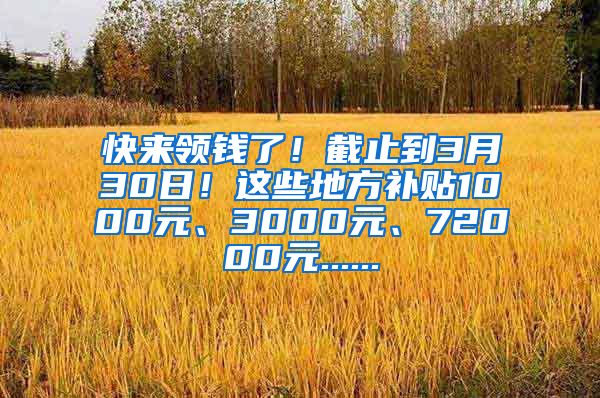 快来领钱了！截止到3月30日！这些地方补贴1000元、3000元、72000元......