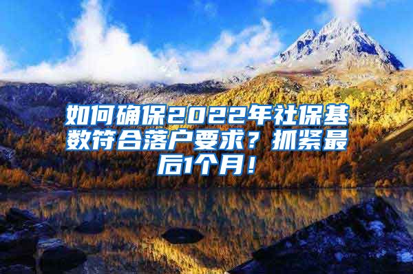 如何确保2022年社保基数符合落户要求？抓紧最后1个月！