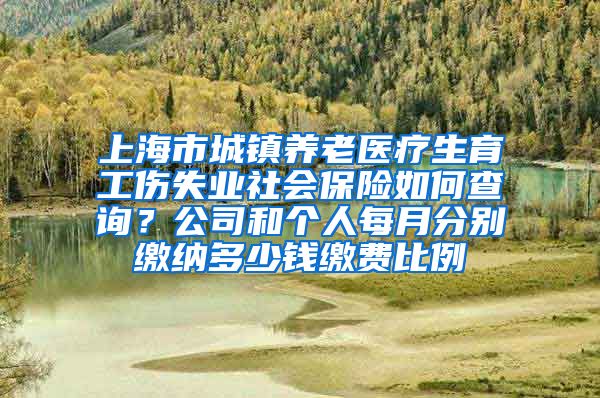 上海市城镇养老医疗生育工伤失业社会保险如何查询？公司和个人每月分别缴纳多少钱缴费比例