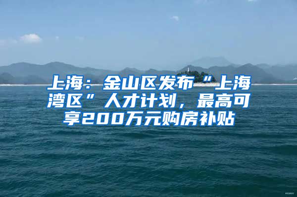 上海：金山区发布“上海湾区”人才计划，最高可享200万元购房补贴
