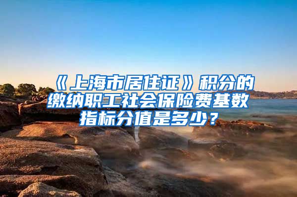 《上海市居住证》积分的缴纳职工社会保险费基数指标分值是多少？