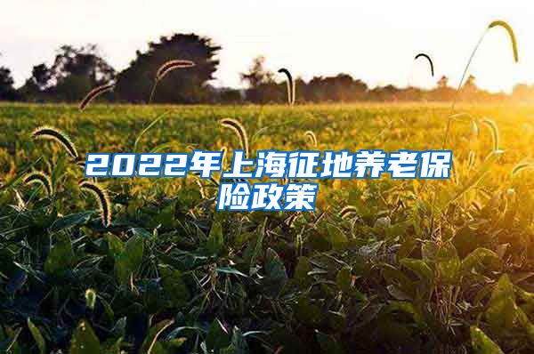 2022年上海征地养老保险政策