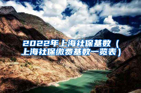 2022年上海社保基数（上海社保缴费基数一览表）