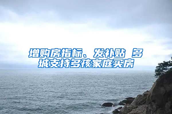 增购房指标、发补贴 多城支持多孩家庭买房