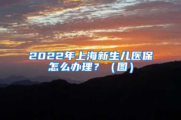 2022年上海新生儿医保怎么办理？（图）