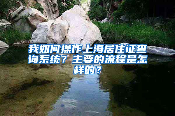 我如何操作上海居住证查询系统？主要的流程是怎样的？