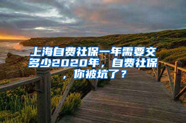 上海自费社保一年需要交多少2020年，自费社保，你被坑了？