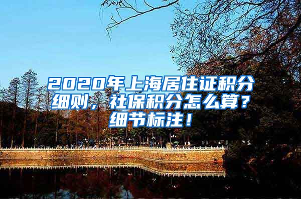 2020年上海居住证积分细则，社保积分怎么算？细节标注！