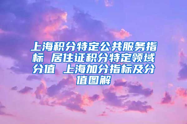 上海积分特定公共服务指标 居住证积分特定领域分值 上海加分指标及分值图解