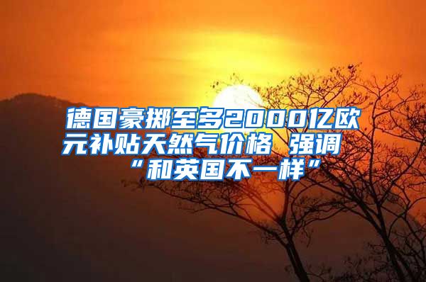 德国豪掷至多2000亿欧元补贴天然气价格 强调“和英国不一样”