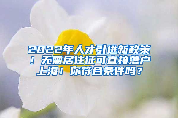 2022年人才引进新政策！无需居住证可直接落户上海！你符合条件吗？