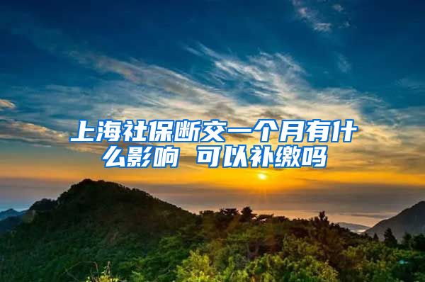 上海社保断交一个月有什么影响 可以补缴吗